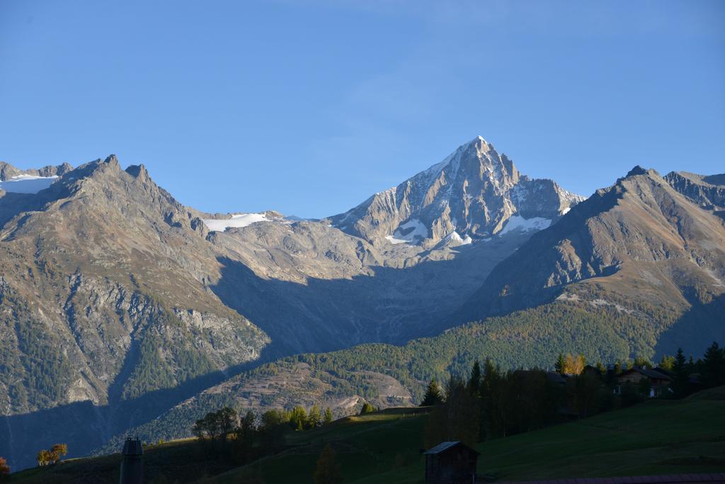 Hotel-Restaurant Ronalp Burchen Bagian luar foto